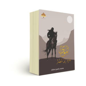 أموي عائد إلى مضر